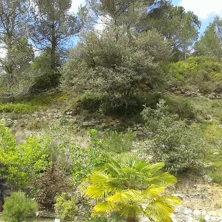 Sud De France-carcassonne Chez Lea Aragon